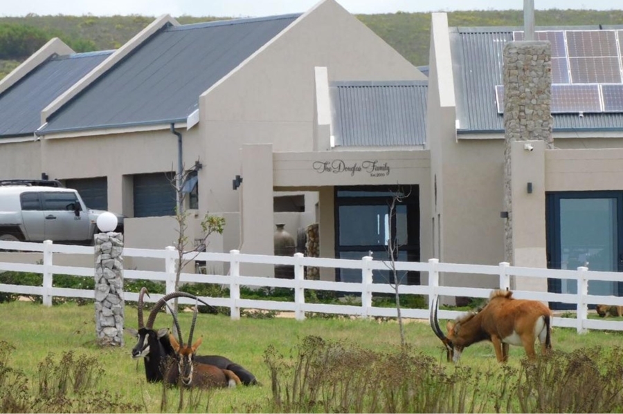 0 Bedroom Property for Sale in Kabeljauws Eastern Cape